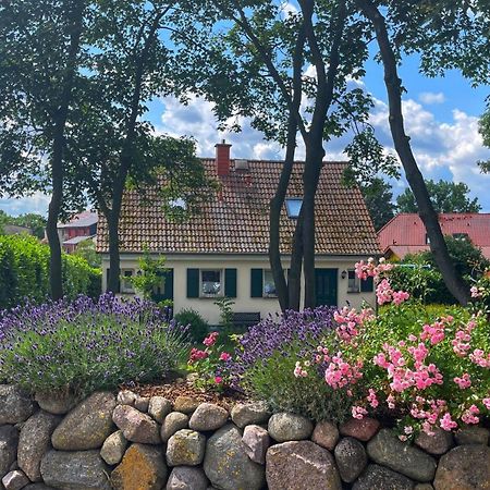 Ferienwohnung 1010 Mit Seeblick Ziemitz Екстер'єр фото