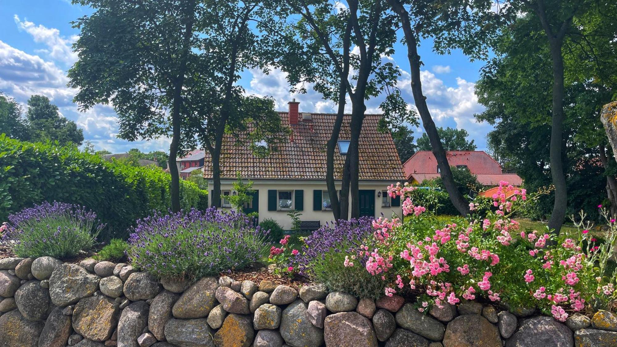 Ferienwohnung 1010 Mit Seeblick Ziemitz Екстер'єр фото